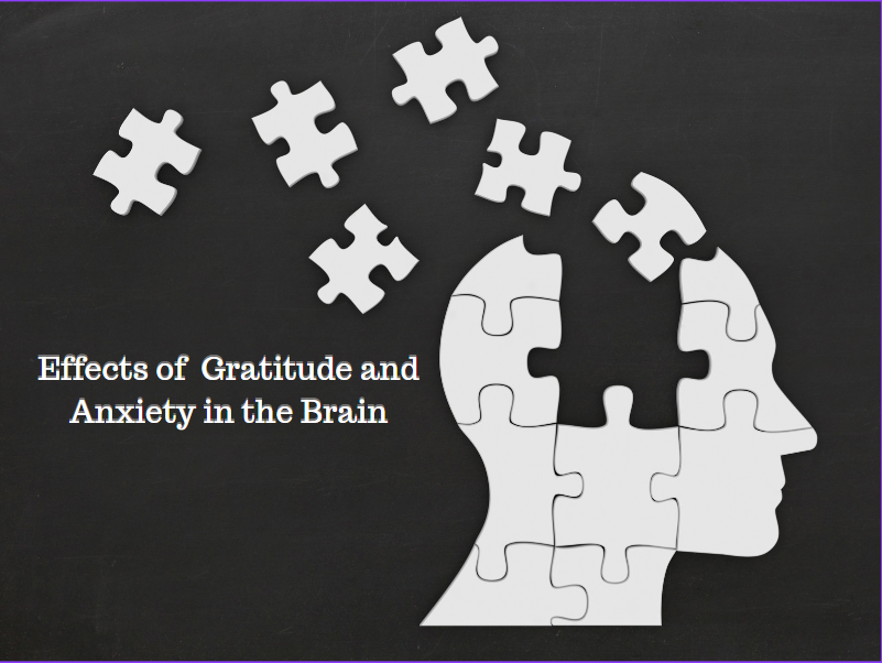 Effects of Gratitude and Anxiety in the Brain