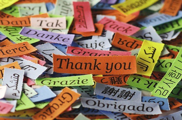 30 Best Gratitude Notes for Coworkers to Show Appreciation