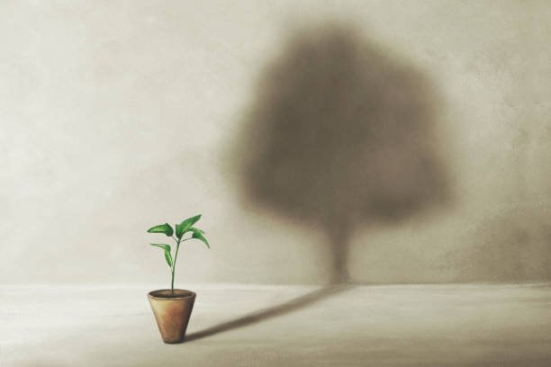 The Big Goals Paradox: Why Starting Small Works Better